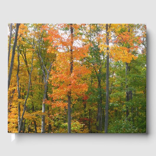 秋メープルツリーズ秋の自然写真 ゲストブック (正面)