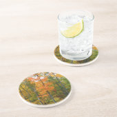 秋メープルツリーズ秋の自然写真 コースター (側面)