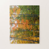 秋メープルツリーズ秋の自然写真 ジグソーパズル (縦)