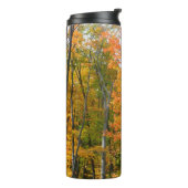 秋メープルツリーズ秋の自然写真 タンブラー (回転左)