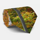 秋メープルツリーズ秋の自然写真 ネクタイ (ロール)