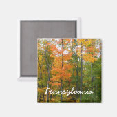 秋メープルツリーズ秋の自然写真 マグネット (正面/裏面)