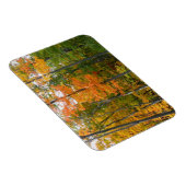 秋メープルツリーズ秋の自然写真 マグネット (右側)