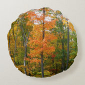 秋メープルツリーズ秋の自然写真 ラウンドクッション (裏面)