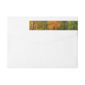 秋メープルツリーズ秋の自然写真 ラップアラウンドラベル (裏面)