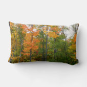 秋メープルツリーズ秋の自然写真 ランバークッション (裏面)