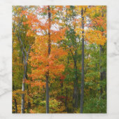 秋メープルツリーズ秋の自然写真 ワインラベル (シングルラベル)