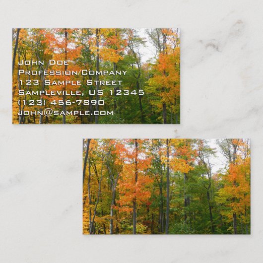 秋メープルツリーズ秋の自然写真 名刺 (正面/裏面)