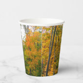 秋メープルツリーズ秋の自然写真 紙コップ (右)