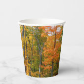 秋メープルツリーズ秋の自然写真 紙コップ (正面)