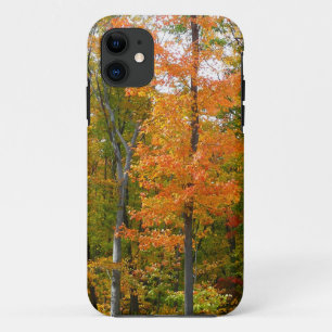 秋メープルツリーズ秋の自然写真 iPhone 11 ケース