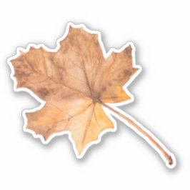秋メープルリーフビニールカットシール シール