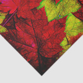 秋メープル葉レッドイエローブラックアート 薄葉紙 (詳細)