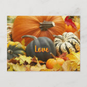 秋ラブオータムフォト離れフォトズカボチャ ポストカード (正面)