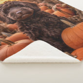 秋ラブラドール シェルパブランケット (3/4)