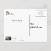 秋リフレクションスバッファローナショナルリバーポストカード ポストカード (裏面)