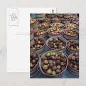 秋リンゴ ポストカード (正面/裏面)