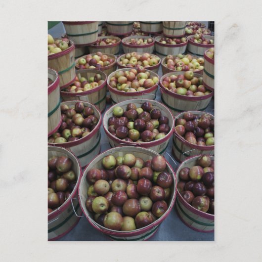 秋リンゴ ポストカード (正面)