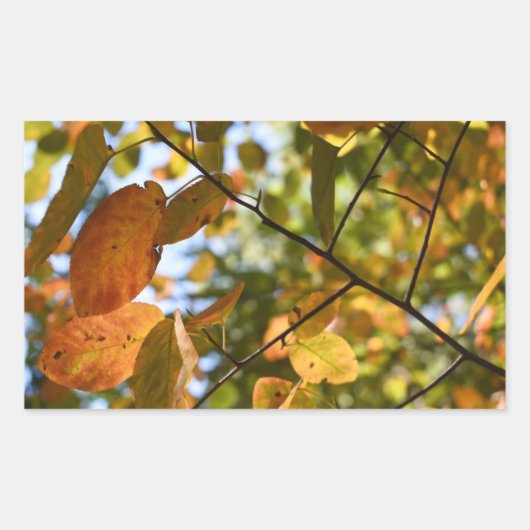 秋リーフ紅葉スカイ自然撮影 長方形シール (正面)