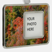 秋丘カラフル中秋自然 シルバープレートフレームオーナメント (右)