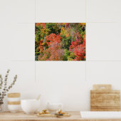 秋丘カラフル中秋自然 ポスター (キッチン)