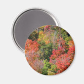 秋丘カラフル中秋自然 マグネット (正面/裏面)