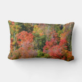 秋丘カラフル中秋自然 ランバークッション (裏面)