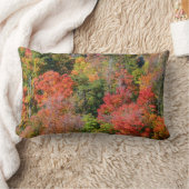 秋丘カラフル中秋自然 ランバークッション (ブランケット)