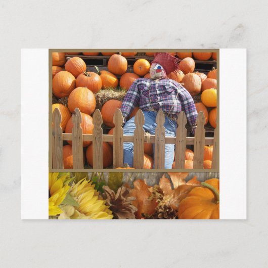 秋中西部 ポストカード (正面)