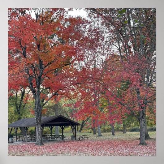 秋公園の日のポスター ポスター (正面)