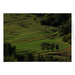 秋分野、Prem、スロベニア