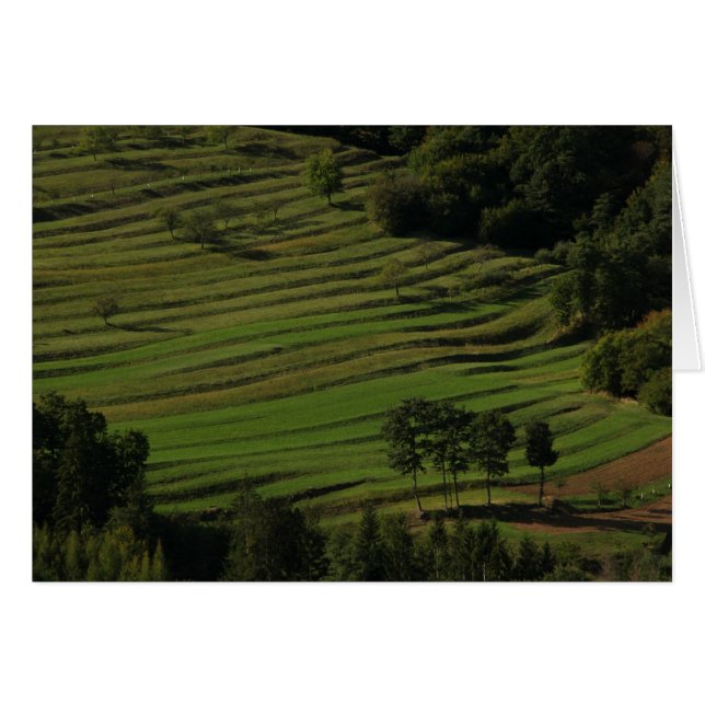 秋分野、Prem、スロベニア (正面横)