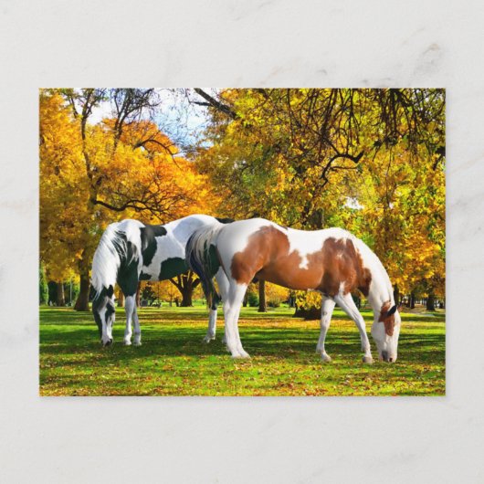 「秋午後」 ポストカード (正面)