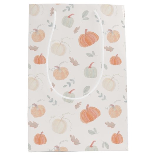 秋収穫カボチャ ミディアムペーパーバッグ (正面)