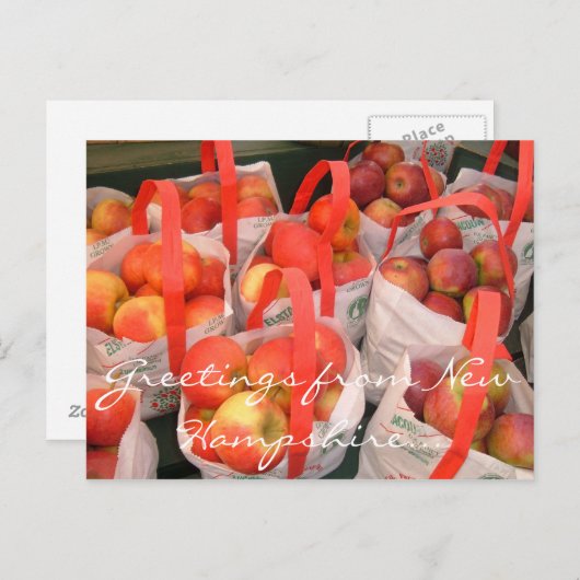 秋収穫 ポストカード (正面/裏面)