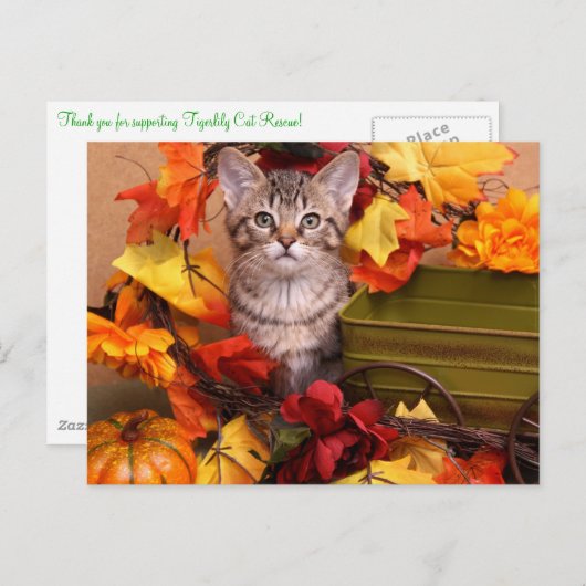 秋収穫 ポストカード (正面/裏面)