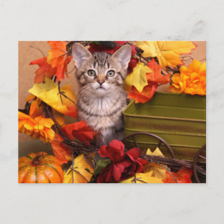 秋収穫 ポストカード