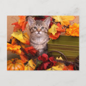 秋収穫 ポストカード (正面)