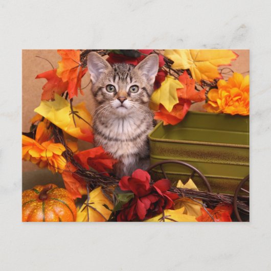 秋収穫 ポストカード (正面)