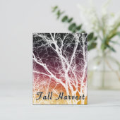 秋収穫：幽霊ツリー ポストカード (スタンド正面)