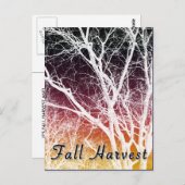 秋収穫：幽霊ツリー ポストカード (正面/裏面)