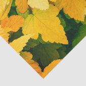 秋収穫 薄葉紙 (詳細)