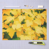 秋収穫 薄葉紙 (クラフト)