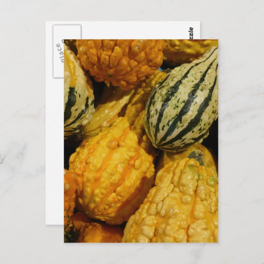 秋収縮 ポストカード (正面/裏面)