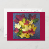 秋収集 ポストカード (正面/裏面)