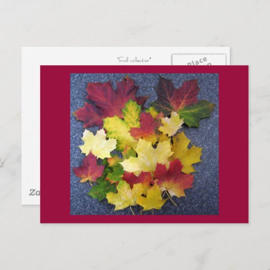 秋収集 ポストカード (正面/裏面)