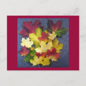 秋収集 ポストカード (正面)