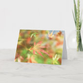 秋名刺 カード (正面)