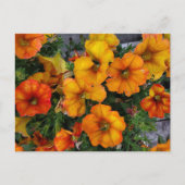 秋園 ポストカード (正面)