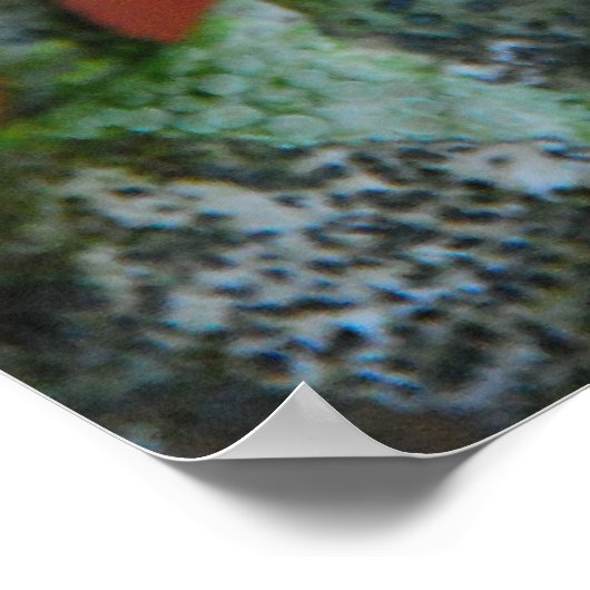 秋地衣類 ポスター (角)